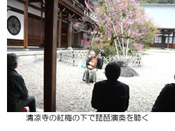 清凉寺の紅梅の下で琵琶演奏を聴く
