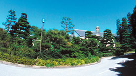 大学院経済学研究科